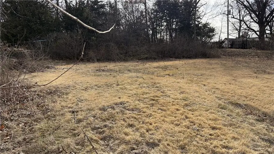 407 Maple Street, Leavenworth, KS 66048 - #3