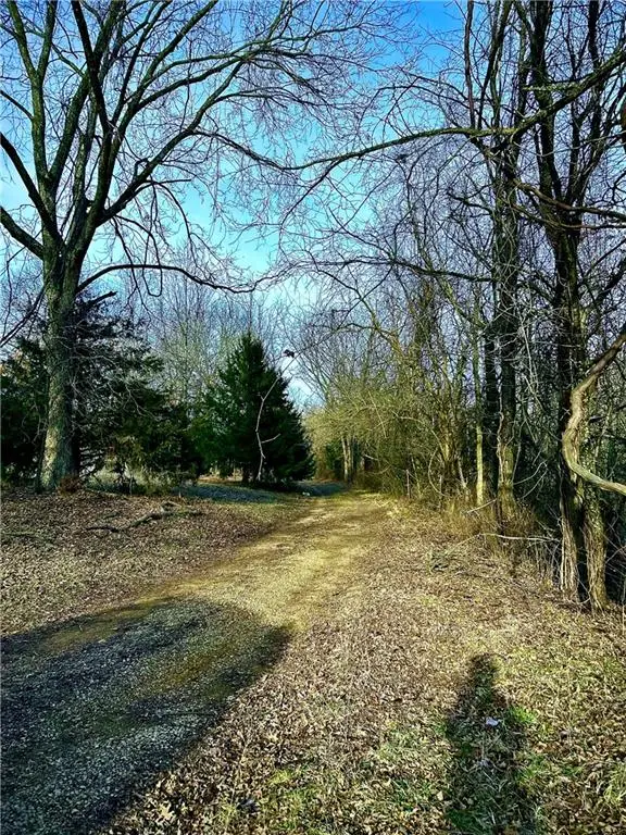 SW County Road 1007 Road, Rich Hill, MO 64779 - #3