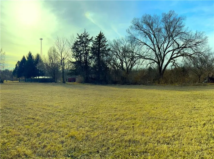 7842 SW County Road 1007 Road, Rich Hill, MO 64779 - #2