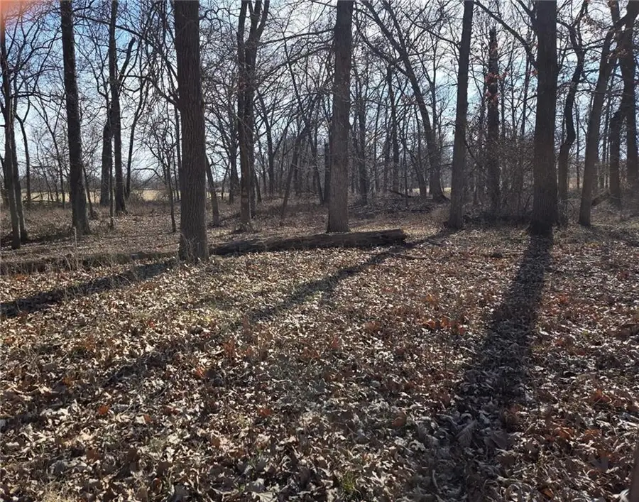 Lot 1 NW County Road 17402 N/a, Archie, MO 64725 - #2