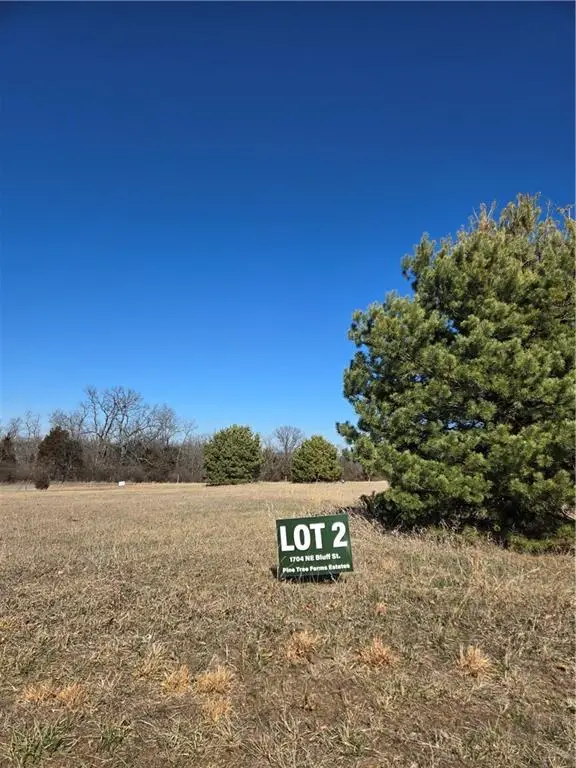 1704 NE Bluff Street, Lees Summit, MO 64086 - #2