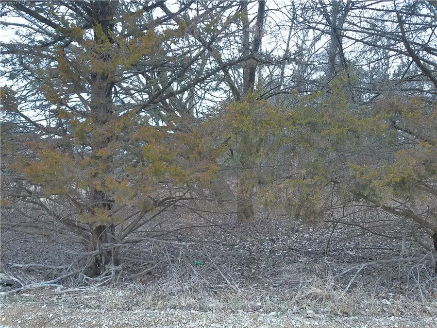 W 371st Street, Osawatomie, KS 66064 - #3