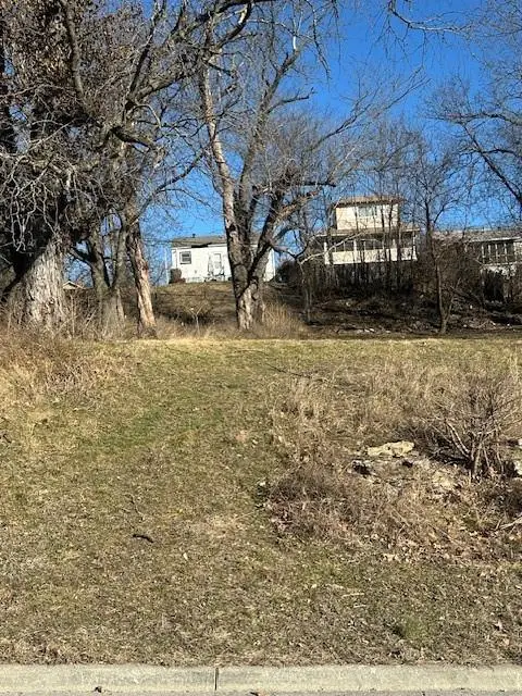 4439 Agnes Avenue, Kansas City, MO 64130 - #2