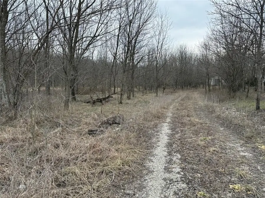 30941 E 219th Street, Pleasant Hill, MO 64080 - #3