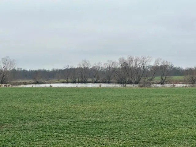 S 800 Road, Moundville, MO 64771 - #2