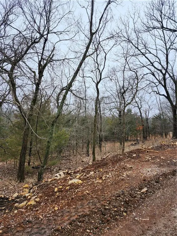 6 & 10 Live Oak Drive, Linn Valley, KS 66040