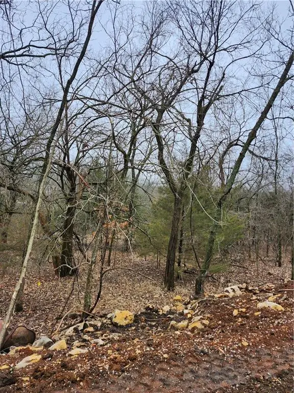 6 & 10 Live Oak Drive, Linn Valley, KS 66040 - #2