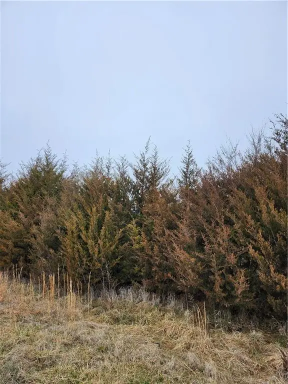 37 Silver Fox Trail, Linn Valley, KS 66040