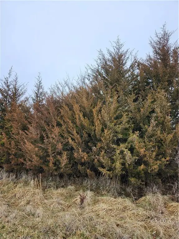 37 Silver Fox Trail, Linn Valley, KS 66040 - #2