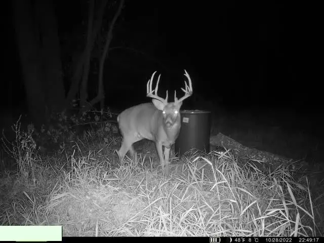 0001 Edgerton Junction Road, Green, MO 64018 - #2