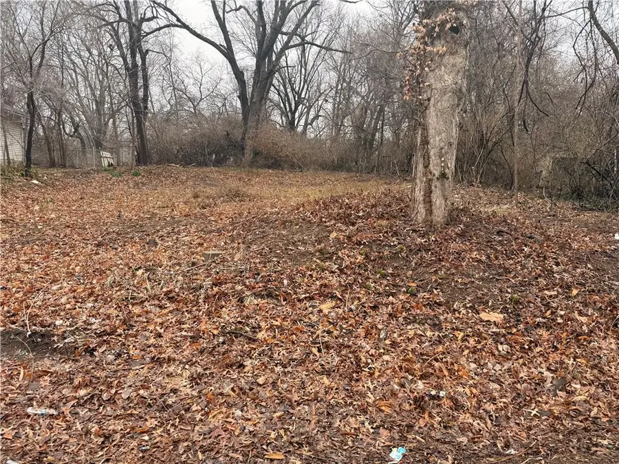 1314 E 81st Street, Kansas City, MO 64131 - #2