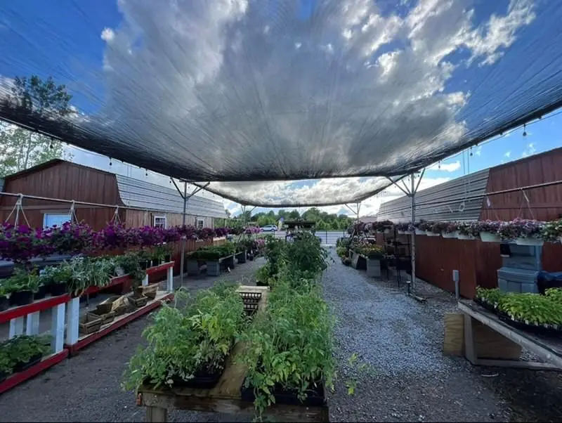 1451 S Buckner Tarsney Road, Grain Valley, MO 64029 - #1