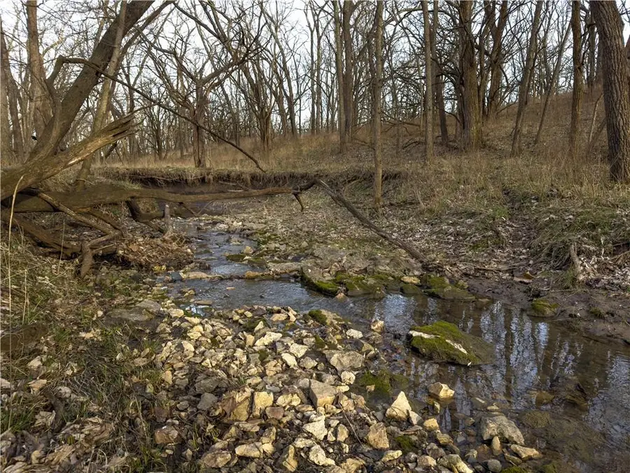 Georgeville Road, Braymer, MO 64624 - #3