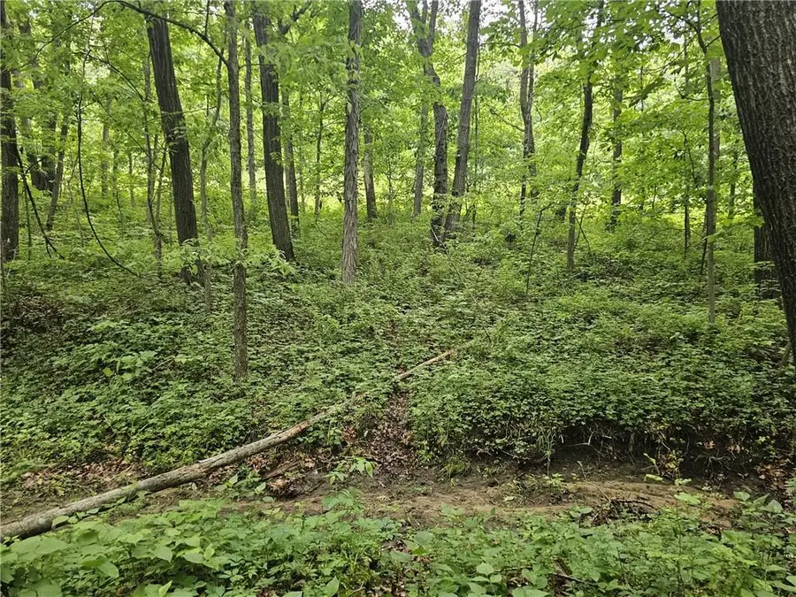 Nickel Avenue, Union, MO 64645 - #2