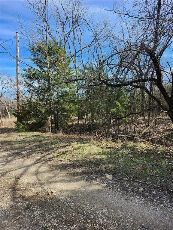 10 Scenic Valley Drive, Linn Valley, KS 66040 - #2