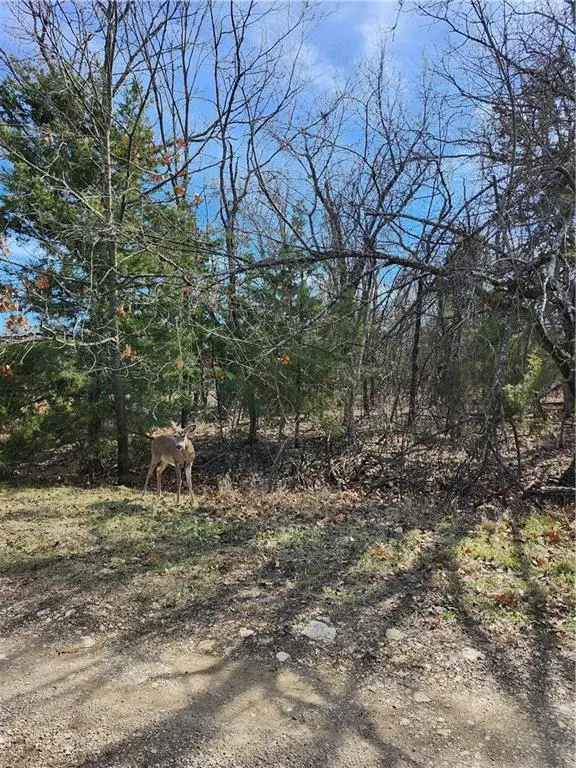 10 Scenic Valley Drive, Linn Valley, KS 66040 - #3