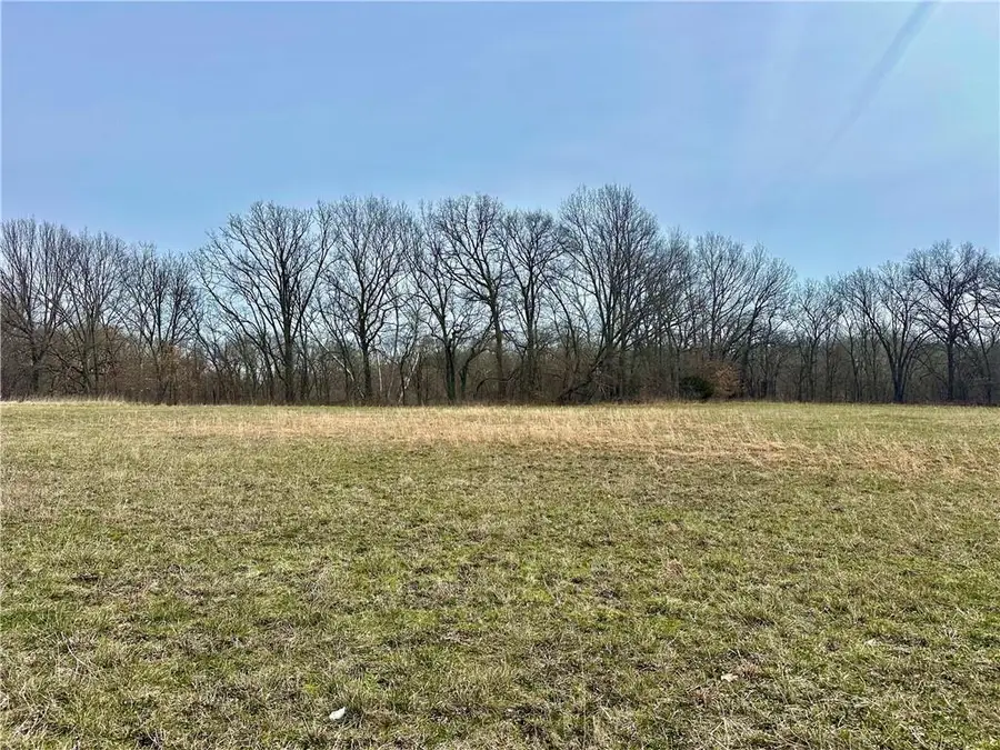 NW 401 Road, Chilhowee, MO 64733 - #2