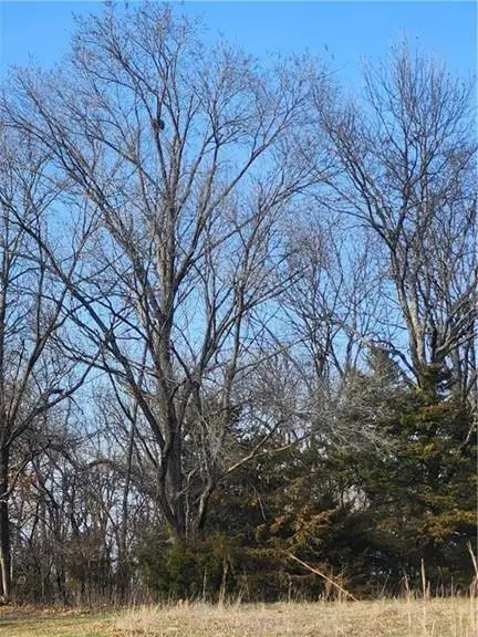 22 Rock Lane, Linn Valley, KS 66040 - #1