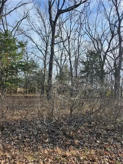 22 Rock Lane, Linn Valley, KS 66040 - #3