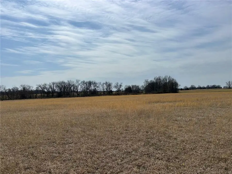 Bb Highway, Nevada, MO 64772 - #3