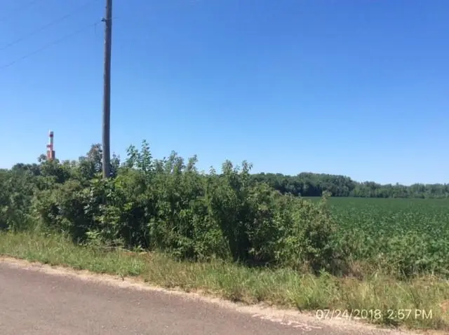 39502 E Gillespie Road, Oak Grove, MO 64075 - #1