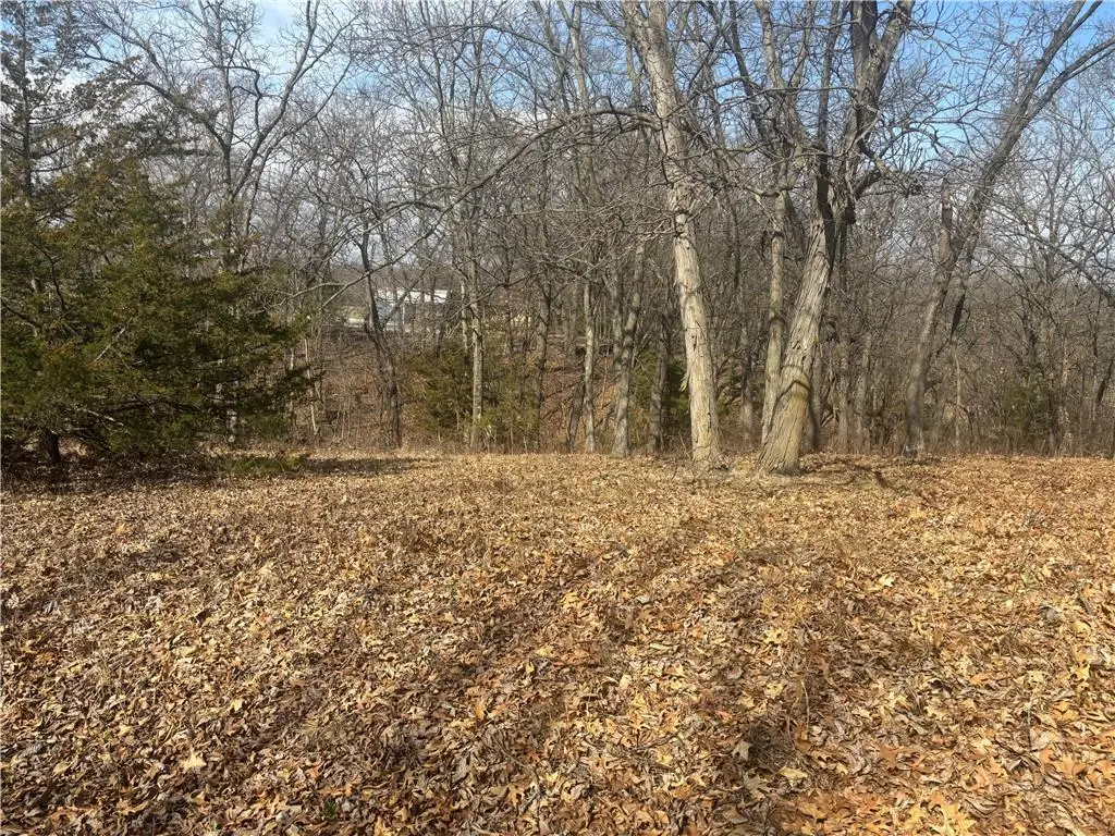 Lot 3109 Lake Viking Terrace, Altamont, MO 64620 - #1
