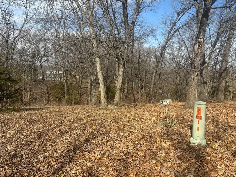 Lot 3109 Lake Viking Terrace, Altamont, MO 64620 - #3
