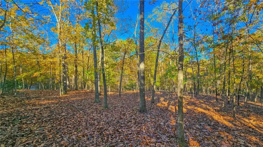 Lot #785 Muirfield Drive, Sunrise Beach, MO 65079 - #3