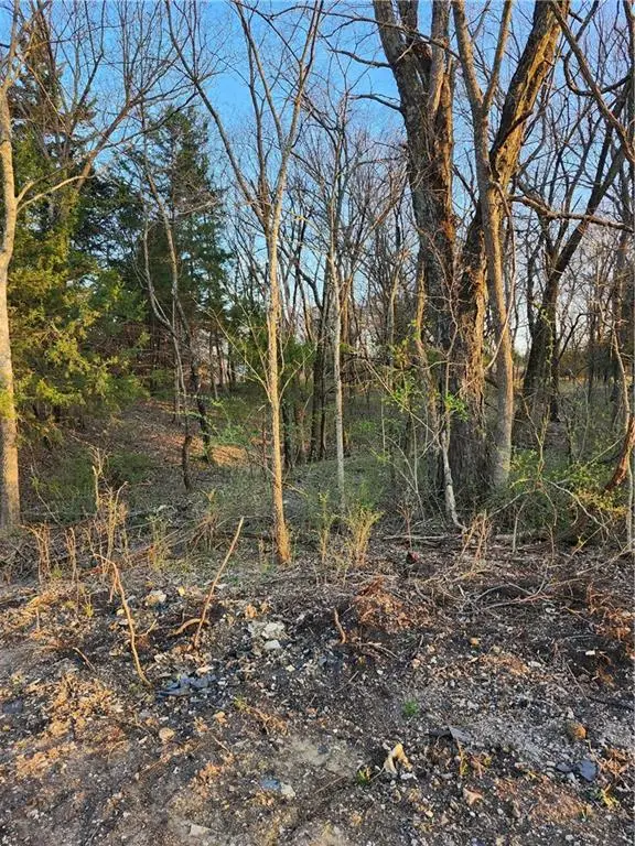 62 S Linn Valley Drive, Linn Valley, KS 66040