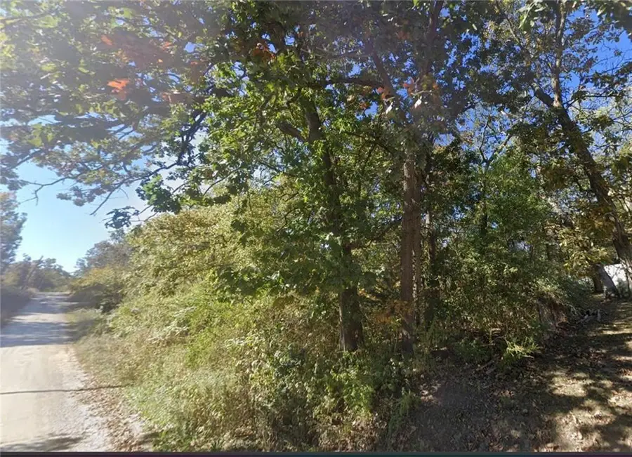 Plat A Lot 12 Lakeshore Drive, Lake Lafayette, MO 64076 - #2