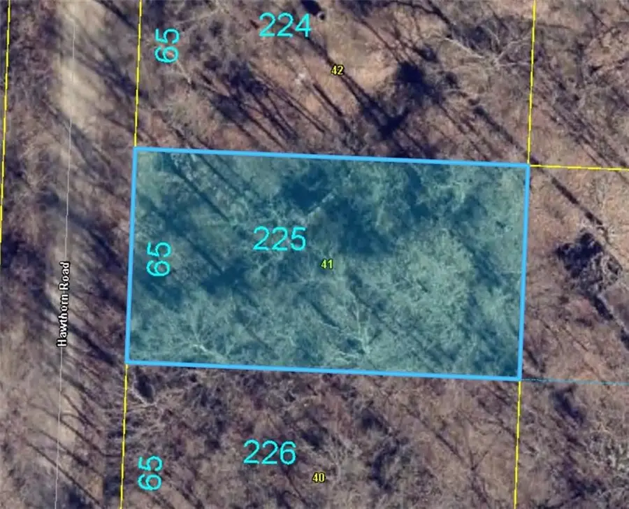 Plat B Lot 225 Hawthorn Road, Odessa, MO 64076 - #2