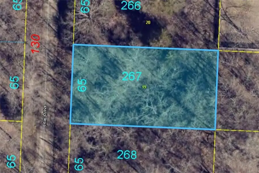 Plat B Lot 267 Lilac Drive, Odessa, MO 64076 - #2