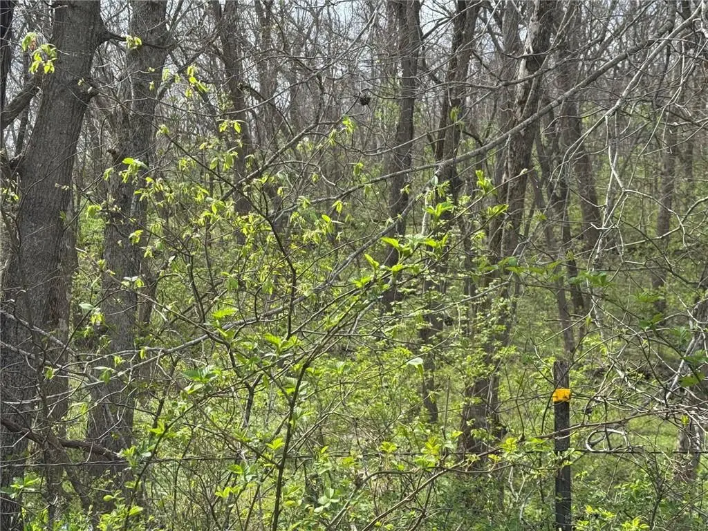 tbd NW 900* Road, Warrensburg, MO 64093 - #1