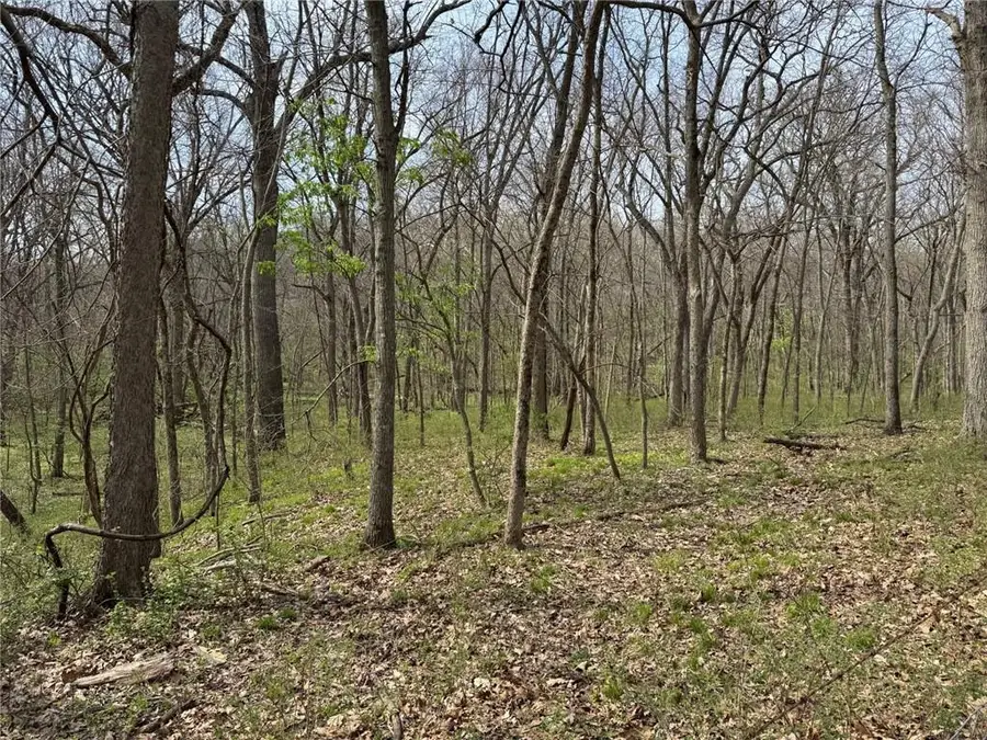 tbd NW 900* Road, Warrensburg, MO 64093 - #3