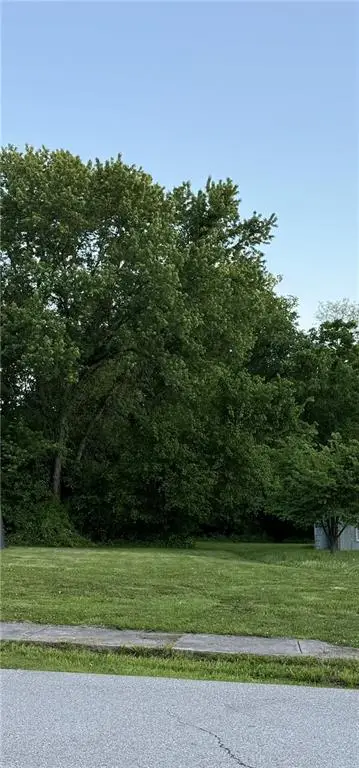 1007 W Lexington Street, Richmond, MO 64085 - #3