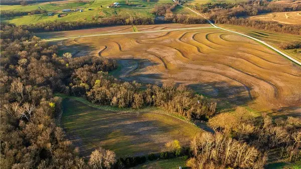 Williams Road, Dearborn, MO 64439