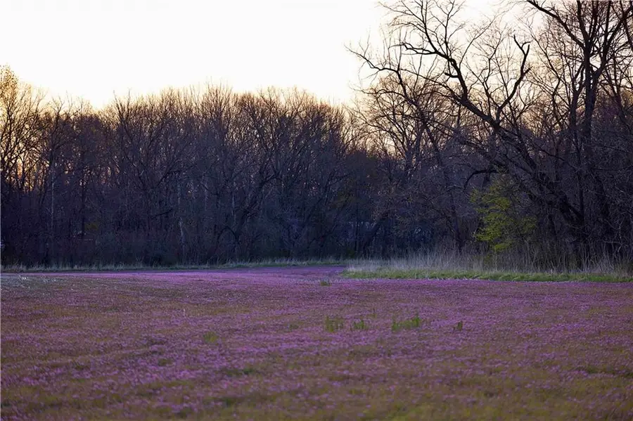 0000 Williams Road, Dearborn, MO 64439 - #2