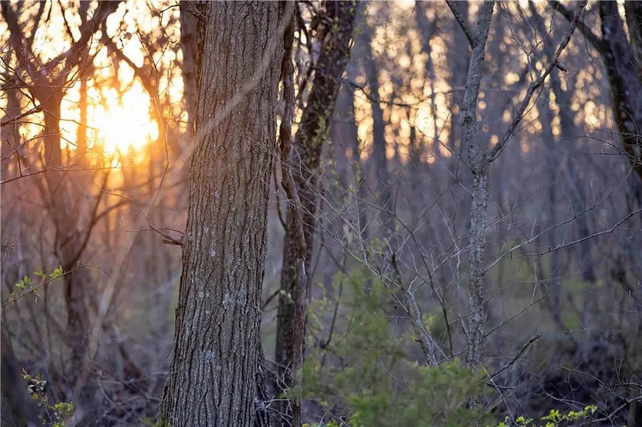 0001 Williams Road, Dearborn, MO 64439 - #2