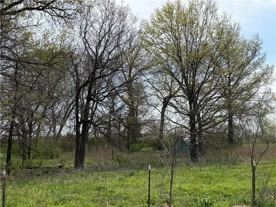 961 201st Road, Warrensburg, MO 64093 - #3