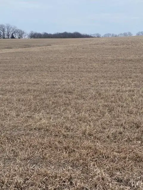 00000 243rd Street, McLouth, KS 66054 - #1