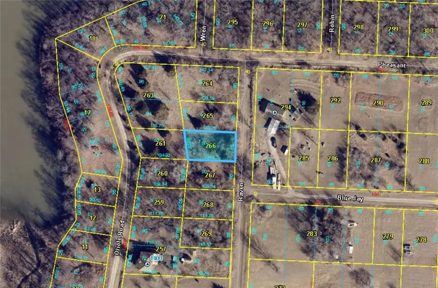 Plat D Lot 88 Raven Drive, Lake Lafayette, MO 64076 - #3