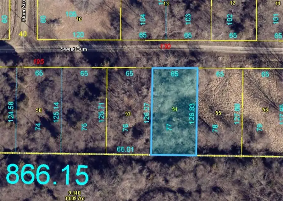 Plat E Lot 77 Sweet Gum Drive, Lake Lafayette, MO 64076 - #2
