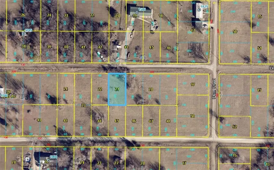 Plat E Lot 181 Pine Road, Lake Lafayette, MO 64076 - #3