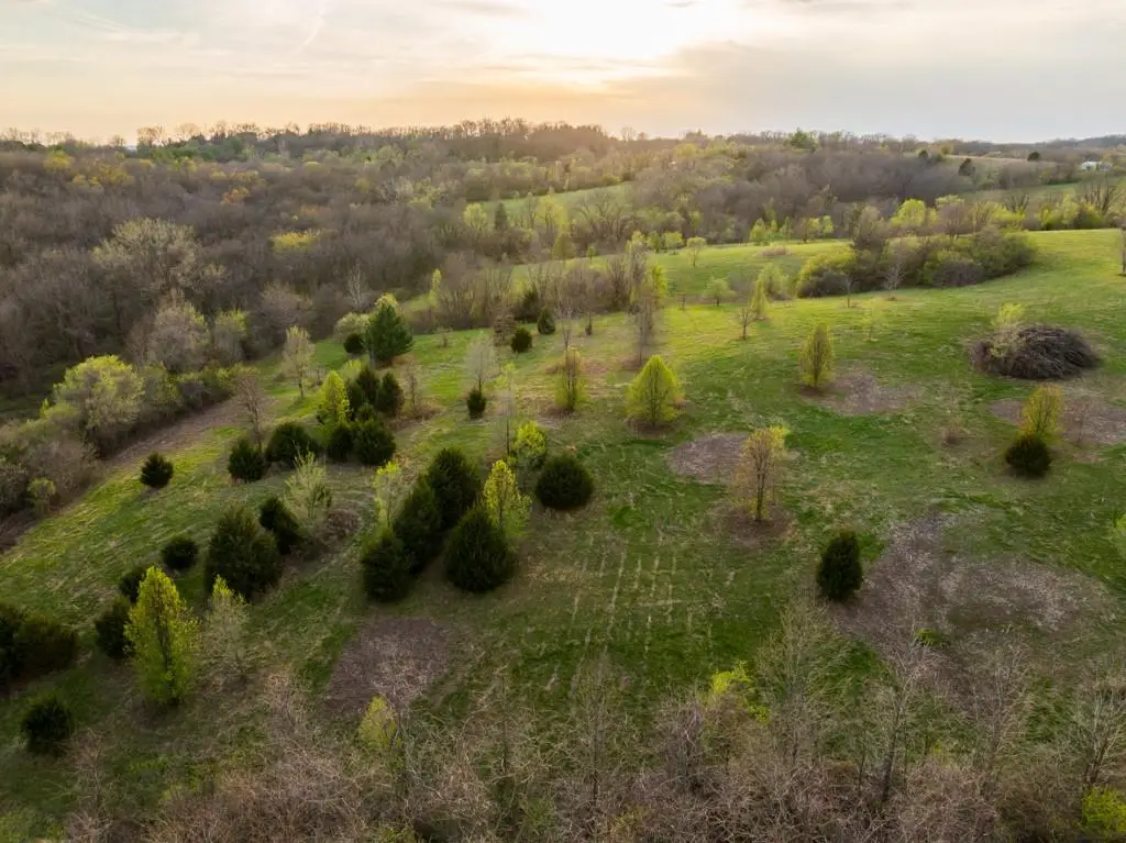 12210 N Farley Road, Platte City, MO 64079 - #1