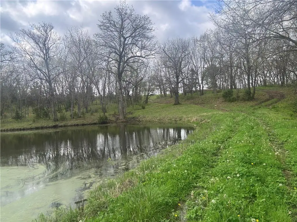 493 SW 1000 Road, Chilhowee, MO 64733 - #1