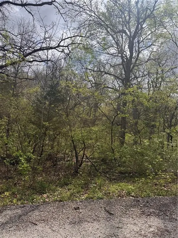 Lot 73 - 76 Green Forest Way, Oak Grove, MO 64075 - #1