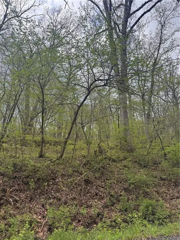 Lot 47-49 Park Lane, Oak Grove, MO 64075 - #1