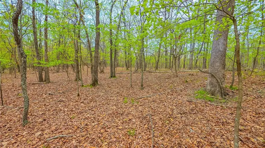 Lot #515-1 Eagles Cove Court, Sunrise Beach, MO 65079 - #3
