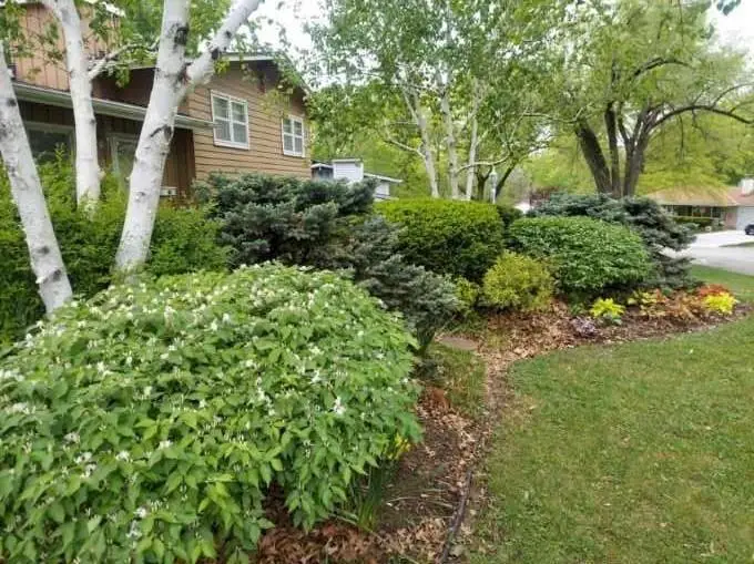 2101 NE 62nd Street, Kansas City, MO 64118 - #1