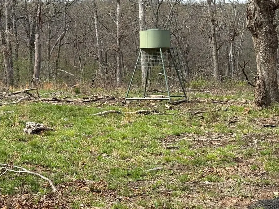 991 SE 976 Road, Deepwater, MO 64740 - #2